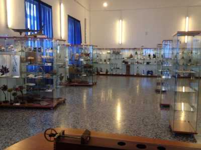 Liceo Flacco, la Teca della memoria